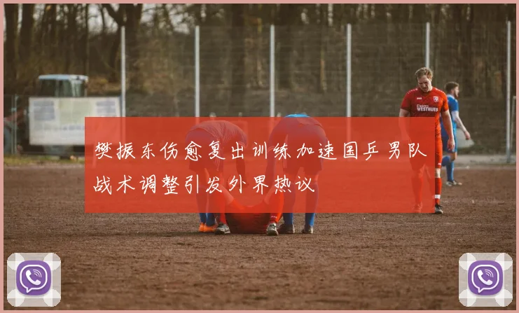 樊振东伤愈复出训练加速国乒男队战术调整引发外界热议